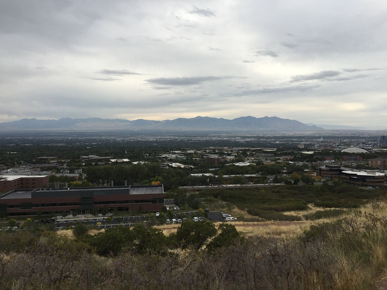 Google Business Profile Optimization and local SEO services in Alta, UT