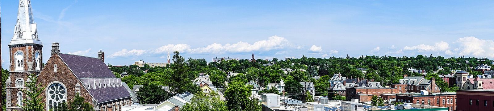 Google Business Profile Optimization and local SEO services in Alburgh, VT