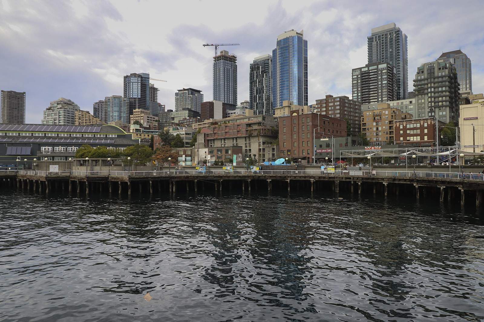 Google Business Profile Optimization and local SEO services in Bothell, WA